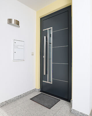 Haustürenmodell Topic B33-T2