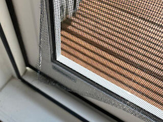 defekter Insektenschutz